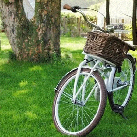 ホテル Killashee ネース