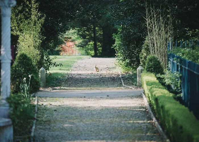 Hotel Killashee Naas